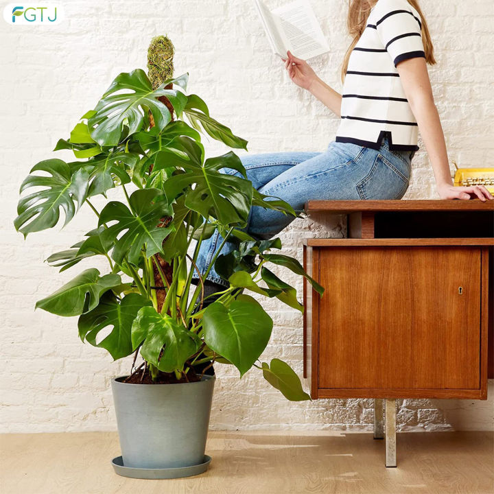 fgtj-พืชมอสวางซ้อนกันได้เสาค้ำยันเพื่อ-grow-เสาขึ้นสำหรับพืชใช้ในร่ม