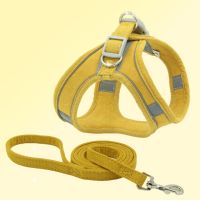 Pet Harness and Leash Kit Breathable Adjustable Reflective Personalized Design Pet Harness Vest For Small Medium Dogs Cats