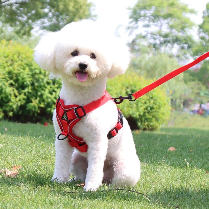 reflective-puppy-dog-vest-harnesses-for-small-medium-dogs-adjustable-pet-harness-and-leash-set-bichon-pomeranian-mascotas-chain-leashes