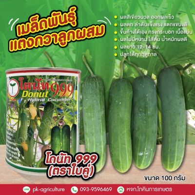 เมล็ดพันธุ์แตงกวา โดนัท 999 ขนาด 100 กรัม