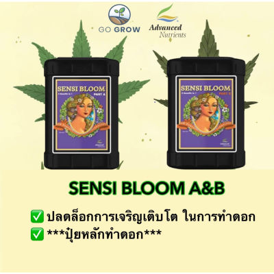 [สินค้าพร้อมจัดส่ง]⭐⭐พร้อมส่ง Sensi Bloom Part A&amp;B *ปุ๋ยหลักทำดอกของแท้100%จาก USA ขวดจรืง[สินค้าใหม่]จัดส่งฟรีมีบริการเก็บเงินปลายทาง⭐⭐