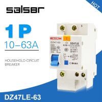 DZ47LE-63 1P+N Mini Circuit Breaker ไฟฟ้ารั่วขนาดเล็กป้องกันอากาศ Cutout Breaker Switch Chopper MCB C20-Daoqiao