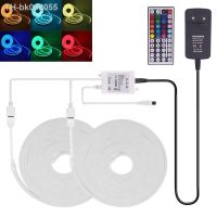 ♗ DC 12V RGB Neon Strip Light With Power Supply 44Key Remote Double Output Controller 5050 SMD Flexible Ribbon Rope LED Strip