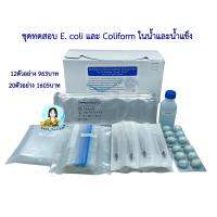 ชุดทดสอบอี.โคไลและโคลิฟอร์มในน้ำและน้ำแข็ง (E.Coli and Coliform) Compact dry EC