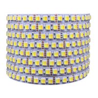 5m CCT LED Strip Dual Color Led Tape Dimmable 5050/5025 Warm White White 2 in 1 Chip Color Tem Ajustable 12v/24V 60 /120leds