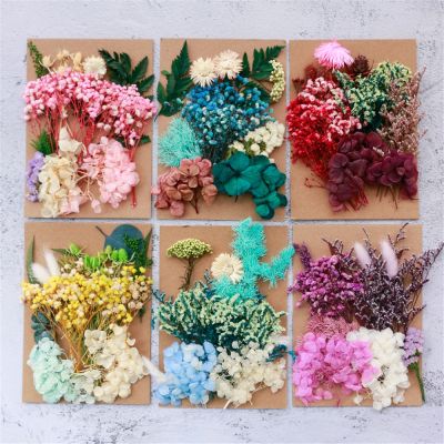 [AYIQ Flower Shop] ดอกไม้แห้งสีสันธรรมชาติแห้งสนิทพืชเรซิ่นอีพ็อกซี่รูปภาพวัสดุที่มีลายนูนอุปกรณ์เสริมตกแต่งบ้านทำกล่องของขวัญ DIY