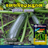 เมล็ดพันธุ์ซูกินีเขียว แตงเขียวมรกต ตราสามเอ Green Zucchini เมล็ดพันธุ์ซูกินี เมล็ดซูกินี AAA