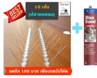 Bird spike หนามไล่นกฐาน polycarbonate 80 ขาต่อเมตร (10 เส้น)​ ปลายแหลม แถม กาวตะปู 1 หลอด