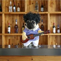 Special for holiday Douyins same guitar transformation costume funny Bichon Bago French Dou Retriever