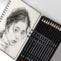 12 pcs/set professional sketching pencil graphite drawing pencil Iron box professional art student drawing pen beginner drawing