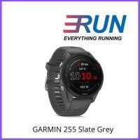 GARMIN 255 Grey