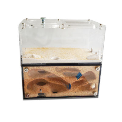 Acrylic Ant Farm Spliceable Ant Nest with Inligent Temperature Control Concrete Ant House Anthill Workshop 15*10*13.5cm