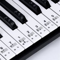 Removable Piano Sticker 61/88 Key Transparent Piano Keyboard Stave Electronic Keyboard Note Sticker