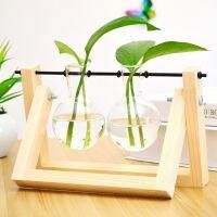 【CC】 Arrangement Desktop Decoration Stall Transparent Vase Frame Planting Pot