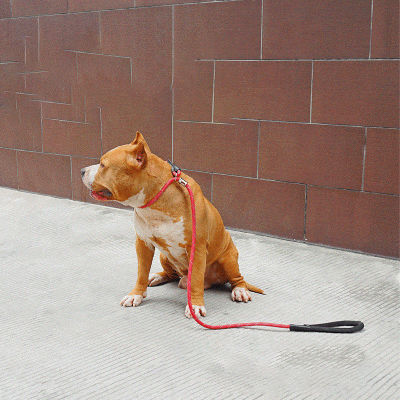 Hot Large Dog Leash Nylon Reflective P Chainleash ป้องกันการระเบิดพร้อมที่จับกันลื่นที่สะดวกสบายสำหรับสุนัขเดินและฝึก