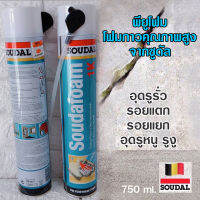 พียูโฟม โฟมกาวคุณภาพสูงจากซูดัล PU FOAM SOUDAFOAM -1K  ? อุดรูรั่ว รอยแตก รอยแยก อุดรูหนู รูงู ใหญ่เวอร์ 750 ml. 1 กป./earth 2565