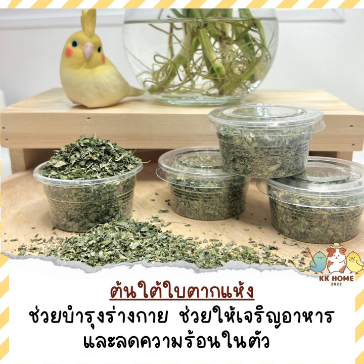 ต้นใต้ใบตากแห้ง-ต้นใต้ใบ-สมุนไพรมากคุณประโยชน์ดีต่อสัตว์เลี้ยง-สำหรับนกทุกชนิด-เช่นนกแก้ว