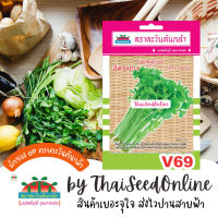 ADVOP ซฟ เมล็ดพันธุ์ คื่นฉ่าย ฉัตรทอง ตราตะวันต้นกล้า V69