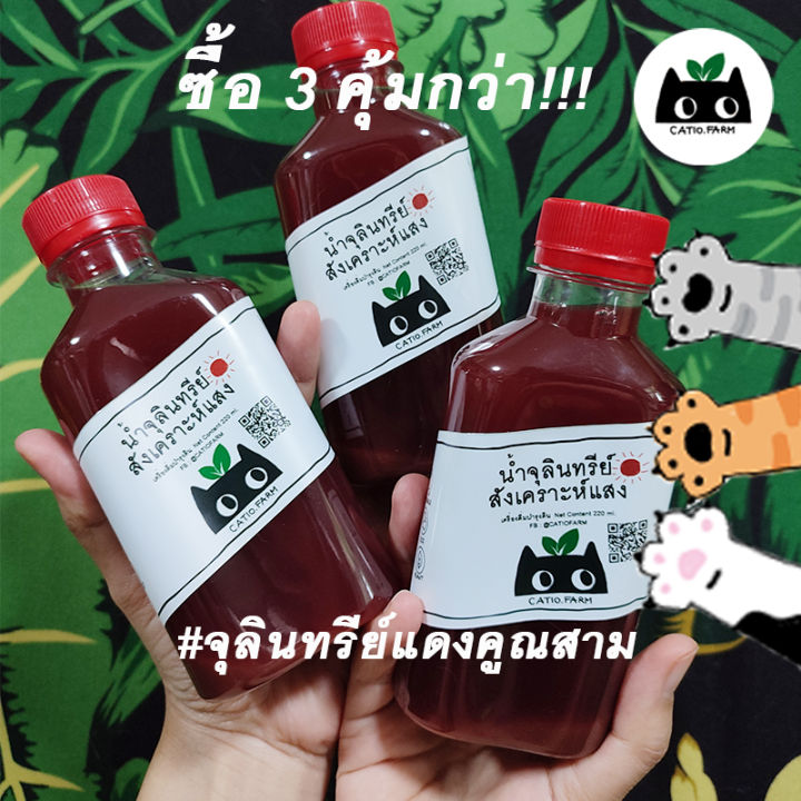 ซื้อ3คุ้มกว่า-น้ำจุลินทรีย์สังเคราะห์แสงpsb-catiofarm-หัวเชื้อคุณภาพ-220cc-ปุ๋ยน้ำอินทรีย์ทดแทนสารเคมี-บำรุงดิน-พืชโตเร็ว-บำบัดน้ำ