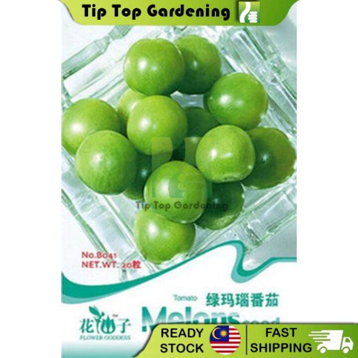 【EXPIRED】BIJI BENIH B041 TOMATO FLOWER GODDESS VEGETABLE FLOWER FRUIT