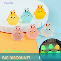 ?【Lowest price】TANG ตุ๊กตากระต่ายเรืองแสง2ชิ้นของตกแต่งบ้านตุ๊กตากระต่ายการ์ตูนภูมิทัศน์ขนาดเล็ก