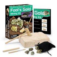 จำลองของเล่นทางโบราณคดี Pyrite Exploration Fool S Gold Mining Kits ของขวัญสำหรับผู้ที่ชื่นชอบแร่และธรณีวิทยา