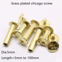 5-20pcs/lot chicago screw m5 length 6mm -100mm brass plated gloden clour Account Books ScrewBooks Butt Screw Photo album screw