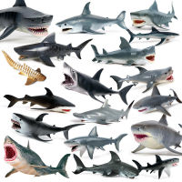 จำลอง Great White Shark Marine สัตว์รุ่น megalodon shark tiger shark killer whale shark พลาสติกเด็กของเล่นวิทยาศาสตร์และการศึกษาเครื่องประดับ