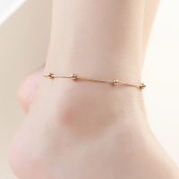 316L Stainless Steel New Fashion Fine Jewelry Minimalism Rose Gold Color Charm Snake Bone Chain Anklets For Women Tobilleras