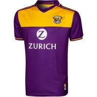 2021/22 IRELAND WEXFORD TRAINING RUGBY JERSEY Size S-XL-5XL Most Popular