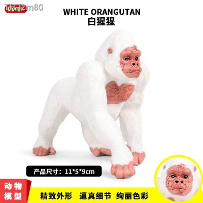 🎁 ของขวัญ Childrens cognitive solid static simulation model of wild animal furnishing articles ape monkey plastic toys