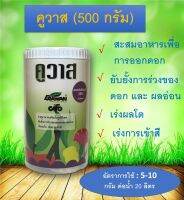 คูวาส (500 กรัม)