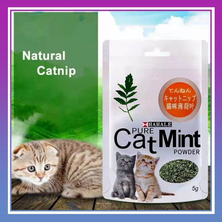 Mint hotsell cat treats