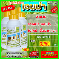 ‼ ส่งฟรี ‼ เอมม่า ปุ๋ยน้ำเอมม่า ( 1000 ซีซี 3 ขวด ) ป้องกันการเกิดเชื้อราในพืช ปุ๋ยน้ำสูตรเข้มข้น เพิ่มความแข็งแรงให้กับพืช เอฟอช