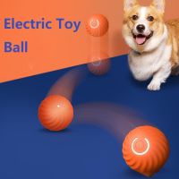 【YF】☒¤㍿  Interactive Electric Dog for Rolling Training Self-moving Indoor