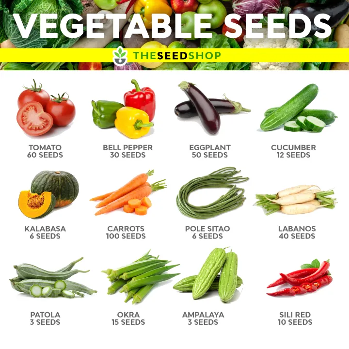 Vegetable Seeds Tomato Carrots Cucumber Bellpepper Eggplant Pechay ...