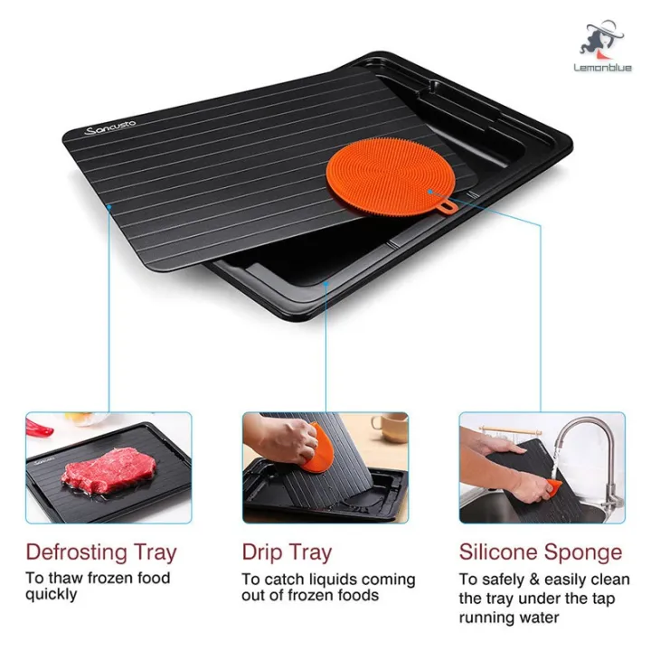 Fast Defrosting Tray with Cleaner Frozen Meat Defrost Food Thawing ...