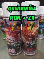 ชุดสีสเปรย์ Kawasaki PDK + ZX