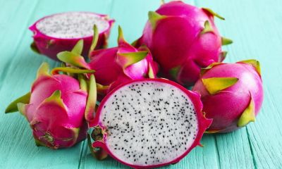 แก้วมังกร แก้วมังกรเนื้อขาว Dragon fruit (ราคา / 1 ลูก)