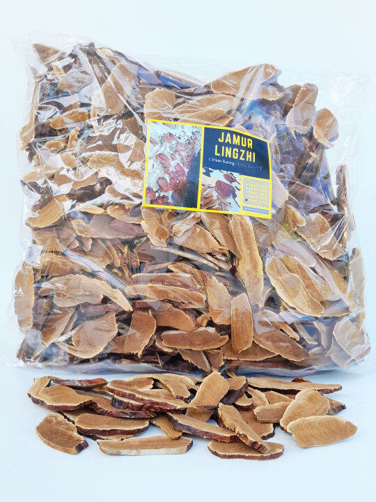 Jamur Lingzhi Irisan Kering Ling Zhi Kualitas Super 1 kg Lazada Indonesia
