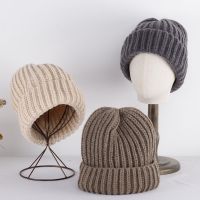 【YD】 2023 hat gray Big caps colored wool Knitted skiing cap Korean y2k warm Thick thread