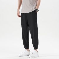 【CW】 New Teenagers 9-Point Harlan Pants Men  39;S Loose Thin Korean Small Foot Leisure Trend Fashion Silk Drying Trouser