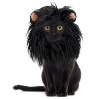 Funny Pet Small Dog Cat Costume Black Lion Costume for Cats Mane Wig Cap Hat for Cat Halloween Costume Lion Christmas Clothes