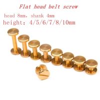 20pcs head 8mm Solid Brass flat head Stud Screw Nail Screw back Leather Rivet Belt length 3mm to 20mm