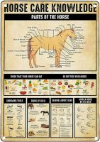 Tin Sign Metal S Knowledge Horses Parts Foods Colic Wedding Bar