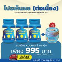 [ส่งฟรี-ของแท้] กรดไหลย้อน โรคกระเพาะ DRD Herb สมุนไพร 3 กระปุก แถมยาดมกระชาย