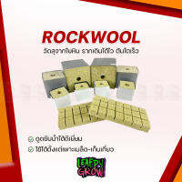 ROCKWOOL ร็อควูล วัสดุใยหินปลูกต้นไม้ ระบบไร้ดิน เพาะเมล็ด - เก็บเกี่ยว ต้นเจริญเติบโตได้ดี