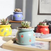 Succulent Plant Pot with Hole Floral Design Ceramic Planters Flowerpot Lovely Home Garden Bonsai Pots Gift Desktop Decor