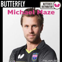 ไม้เปล่า BUTTERFLY ชื่อนักกีฬา รุ่น MICHAEL MAZE