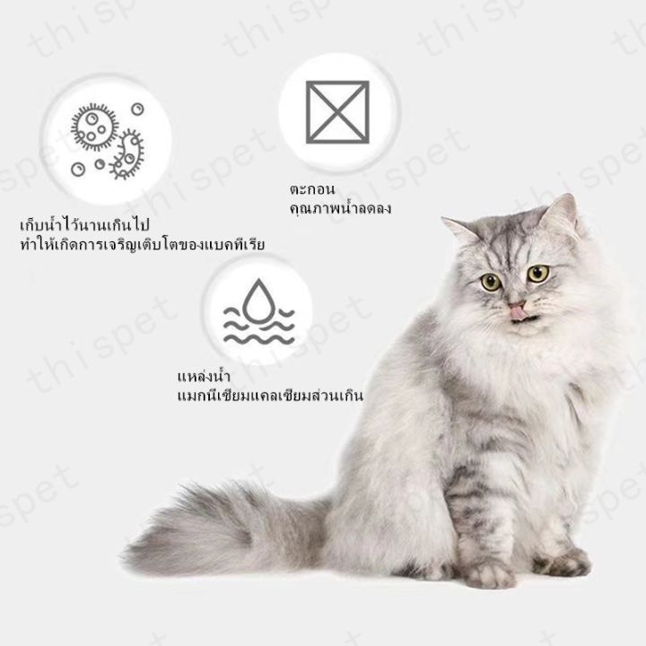 6pcs-95-ไส้กรองน้ำพุแมว-แผ่นกรองน้ำแมว-แผ่นกรองน้ำแมว-แผ่นกรองน้ำพุ-น้ำพุแมว-อะไหล่น้ำพุแมว